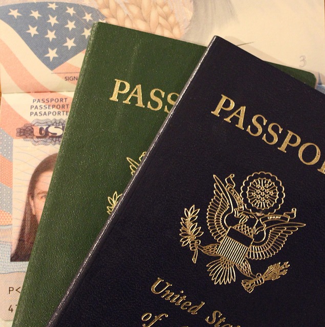 Approval of new multi-entry visas policy